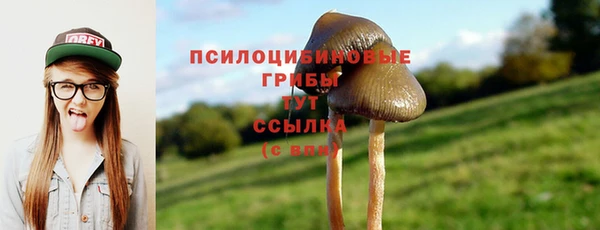 прущие крисы Михайлов