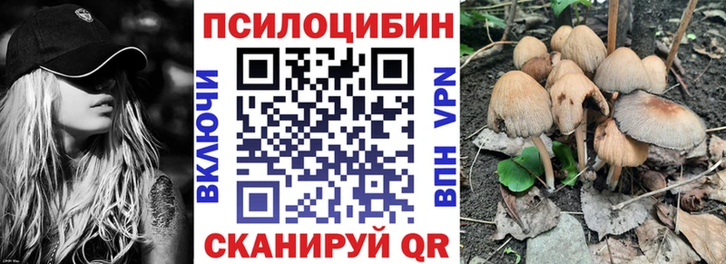 Псилоцибиновые грибы ЛСД  Купить  Ярославль 